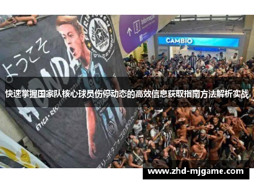 快速掌握国家队核心球员伤停动态的高效信息获取指南方法解析实战